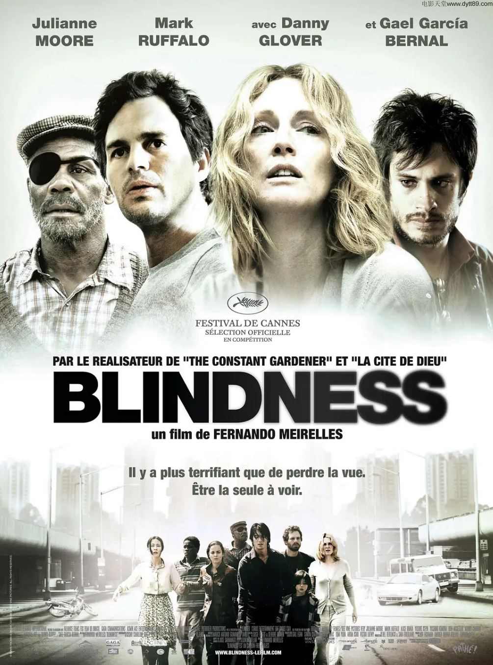 盲流感 Blindness (2008)